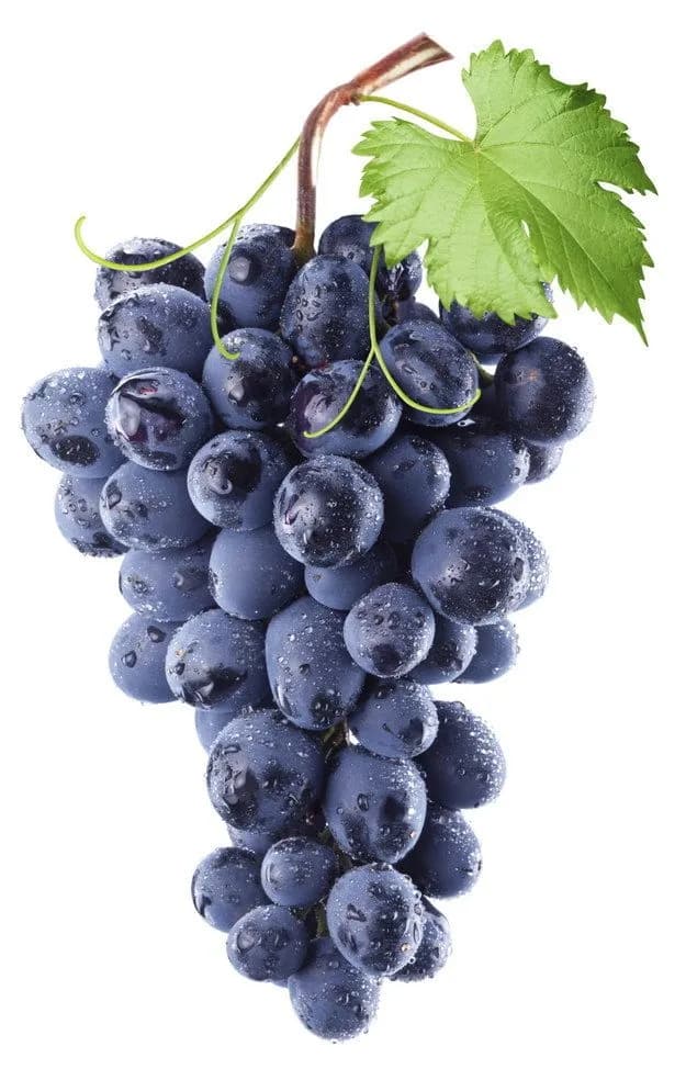 Raisins